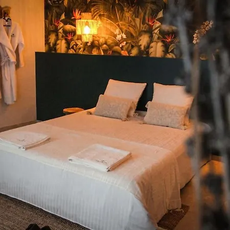 Luxueuse Jacuzzi Amantis By Noma Appartamento Saint-Chamond